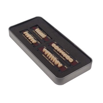 松风 塑钢牙 偏黄色 混合型 前后牙 a3 hc5 m32